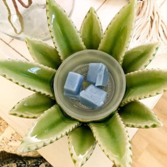 Scentsy Aloe Vera Wax Warmer - Picture 3 of 4